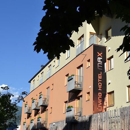 Living Max Hotel Zell am See Dış mekan fotoğraf
